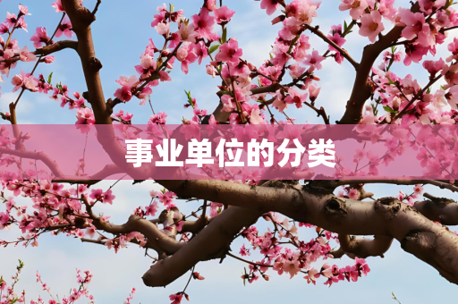 事业单位的分类