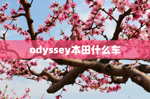 odyssey本田什么车