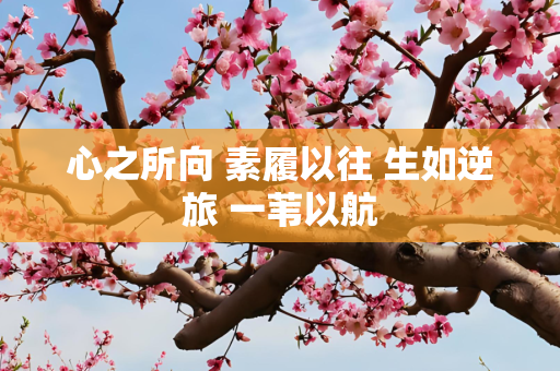 心之所向 素履以往 生如逆旅 一苇以航