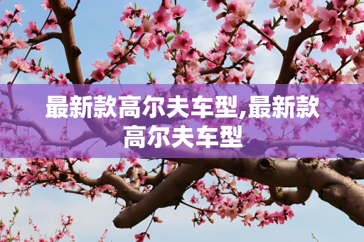 最新款高尔夫车型,最新款高尔夫车型