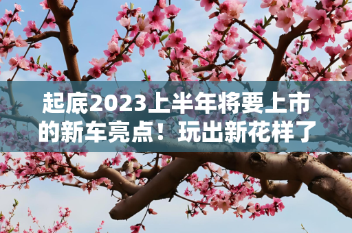 起底2023上半年将要上市的新车亮点！玩出新花样了吗？