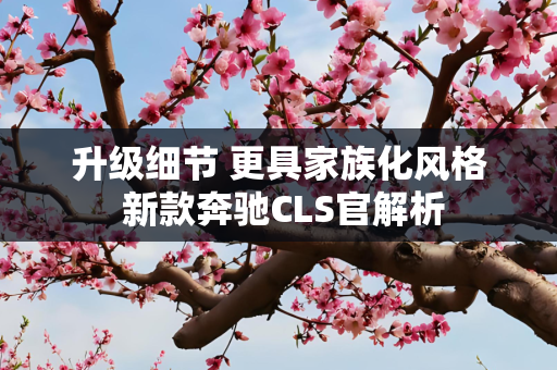 升级细节 更具家族化风格 新款奔驰CLS官解析