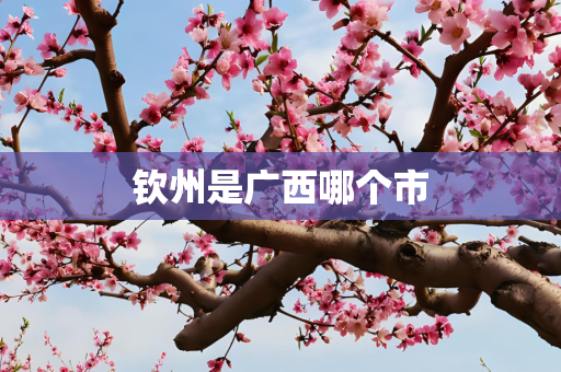 钦州是广西哪个市