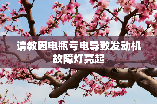 请教因电瓶亏电导致发动机故障灯亮起