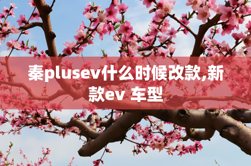 秦plusev什么时候改款,新款ev 车型