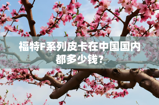 福特F系列皮卡在中国国内都多少钱？