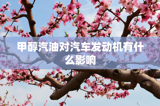 甲醇汽油对汽车发动机有什么影响