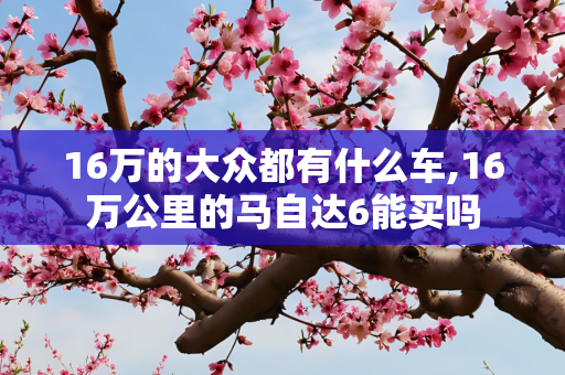 16万的大众都有什么车,16万公里的马自达6能买吗