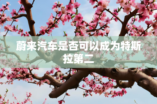 蔚来汽车是否可以成为特斯拉第二