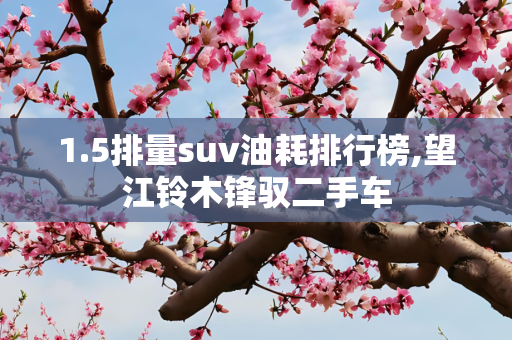 1.5排量suv油耗排行榜,望江铃木锋驭二手车