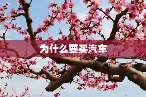 为什么要买汽车