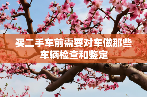 买二手车前需要对车做那些车辆检查和鉴定