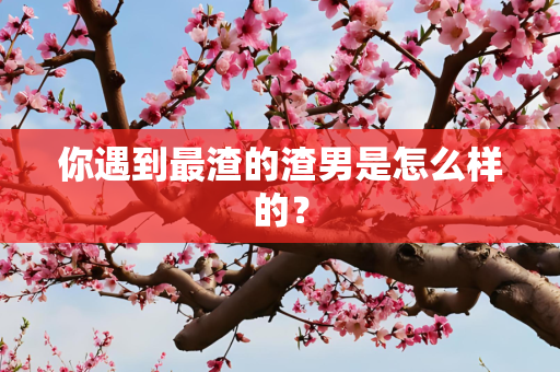 你遇到最渣的渣男是怎么样的？