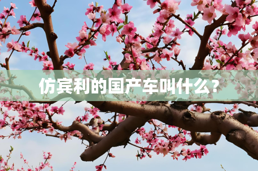 仿宾利的国产车叫什么？