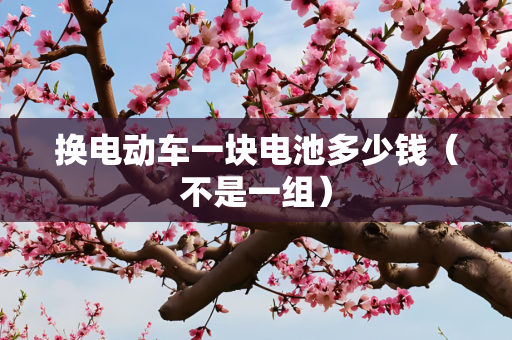 换电动车一块电池多少钱（不是一组）