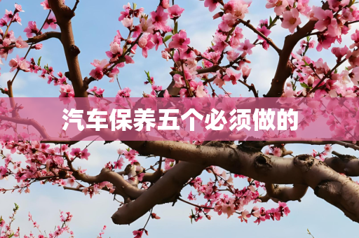 汽车保养五个必须做的