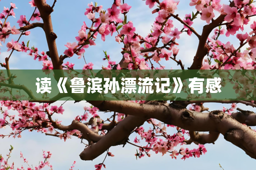 读《鲁滨孙漂流记》有感