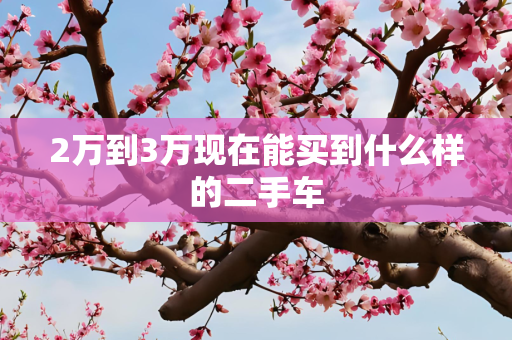 2万到3万现在能买到什么样的二手车
