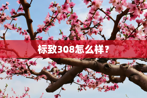 标致308怎么样？