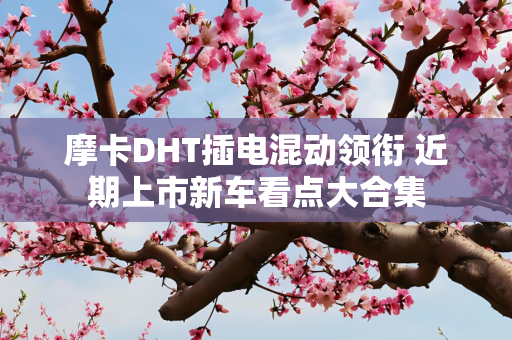 第1694页