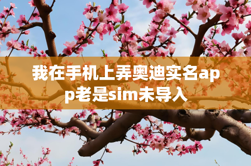 我在手机上弄奥迪实名app老是sim未导入