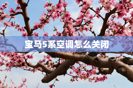 宝马5系空调怎么关闭