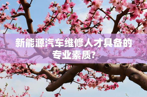 新能源汽车维修人才具备的专业素质?