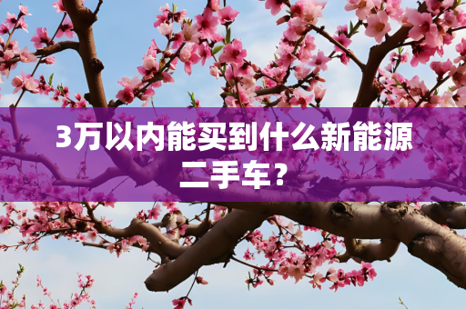 3万以内能买到什么新能源二手车？