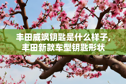 丰田威飒钥匙是什么样子,丰田新款车型钥匙形状