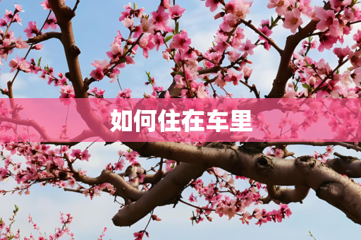 第1693页