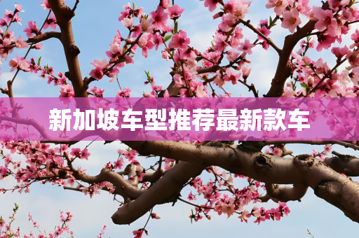 新加坡车型推荐最新款车