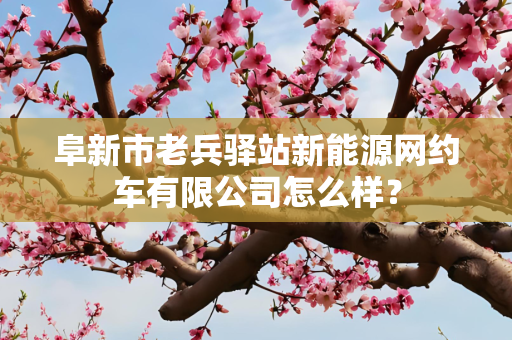 阜新市老兵驿站新能源网约车有限公司怎么样？