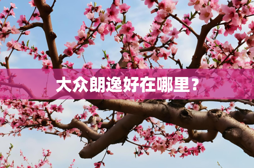 大众朗逸好在哪里？