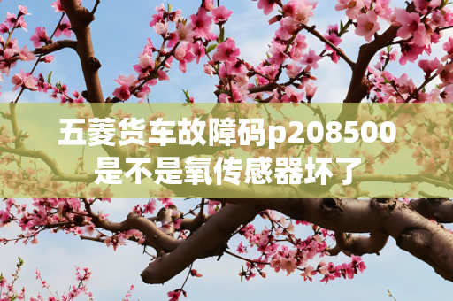 五菱货车故障码p208500是不是氧传感器坏了
