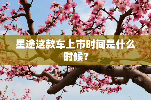 星途这款车上市时间是什么时候？