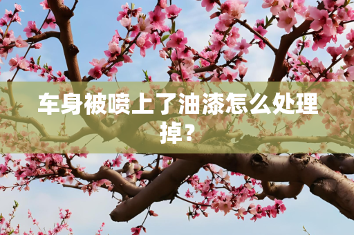 车身被喷上了油漆怎么处理掉？