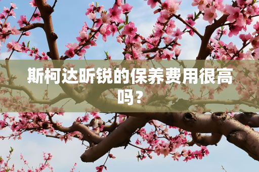斯柯达昕锐的保养费用很高吗？