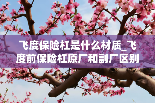 飞度保险杠是什么材质_飞度前保险杠原厂和副厂区别