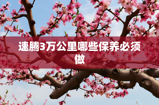 速腾3万公里哪些保养必须做