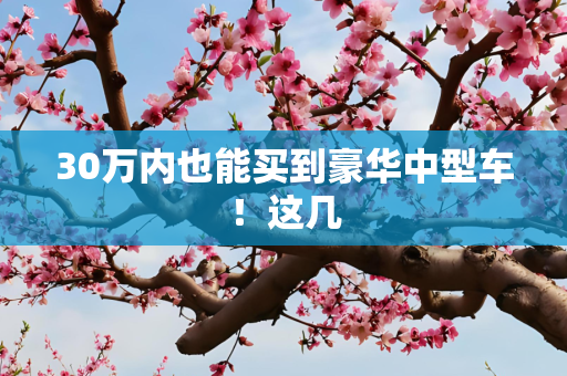 30万内也能买到豪华中型车！这几