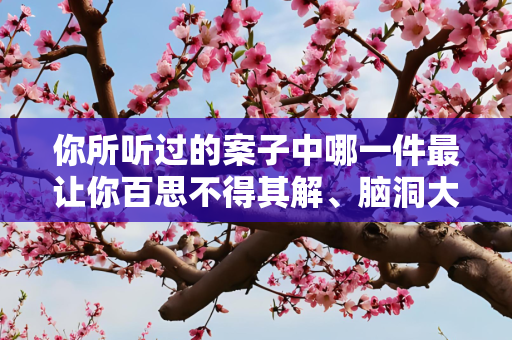 你所听过的案子中哪一件最让你百思不得其解、脑洞大开的