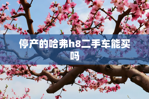 停产的哈弗h8二手车能买吗