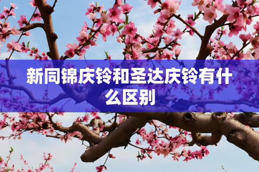 新同锦庆铃和圣达庆铃有什么区别
