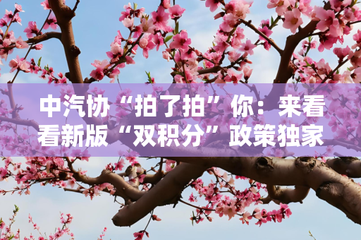 中汽协“拍了拍”你：来看看新版“双积分”政策独家解读