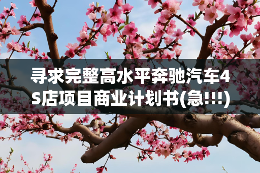 寻求完整高水平奔驰汽车4S店项目商业计划书(急!!!)