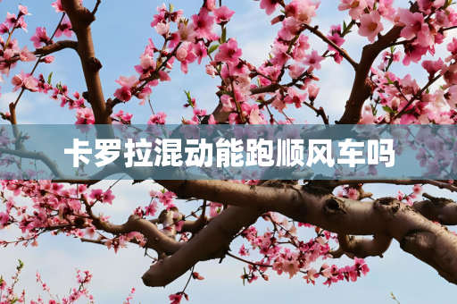 卡罗拉混动能跑顺风车吗