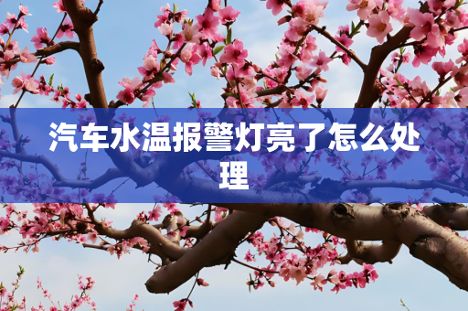 汽车水温报警灯亮了怎么处理