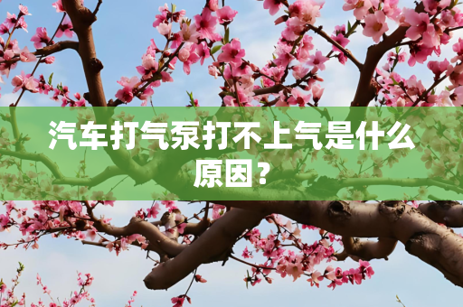 汽车打气泵打不上气是什么原因？