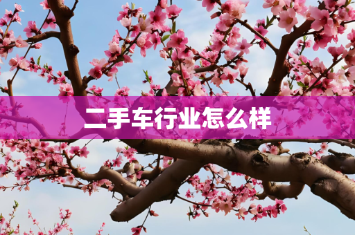 二手车行业怎么样