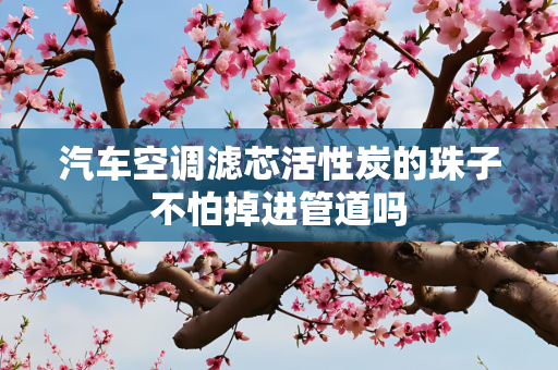 汽车空调滤芯活性炭的珠子不怕掉进管道吗